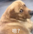 诚意满满的Model Y L 能捍卫特斯拉的王座吗?