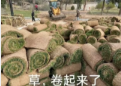 诚意满满的Model Y L 能捍卫特斯拉的王座吗?