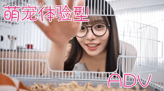 讲谈社真人影游公布：转生为仓鼠被美女三姐妹疼爱！